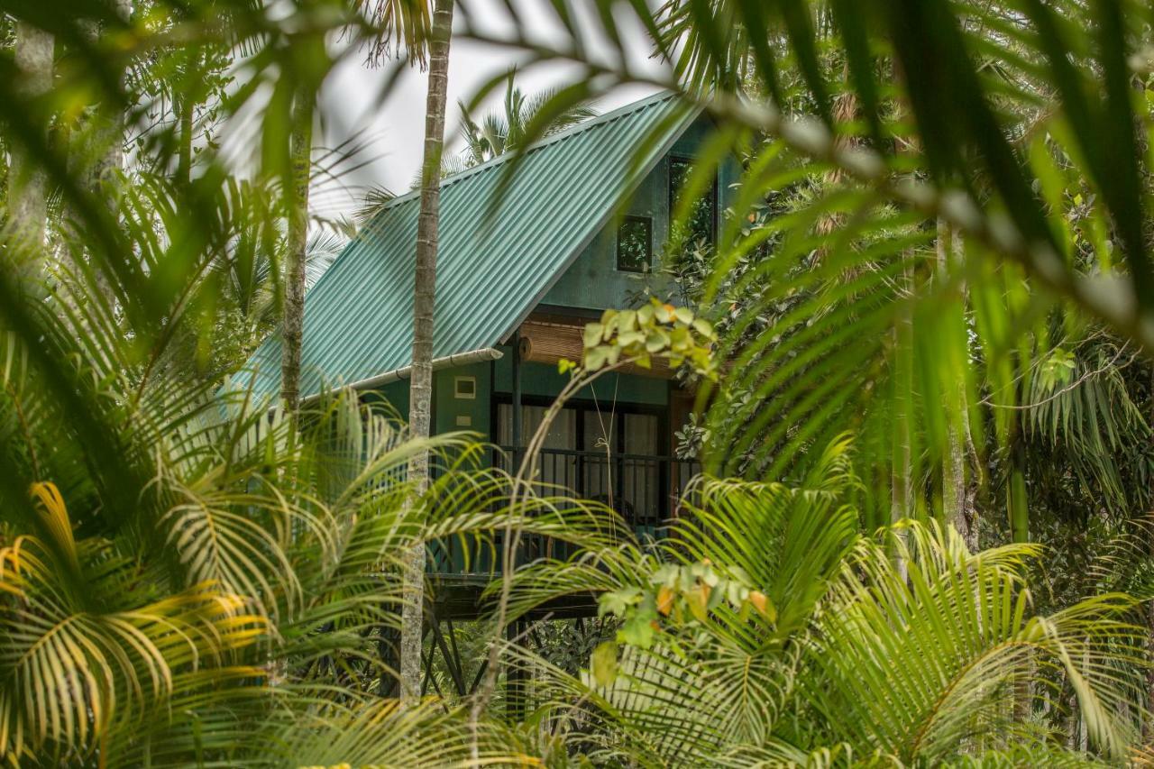 Kedara Village Sultan Bathery Buitenkant foto